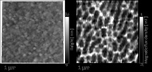 STM image (left) and magnetic field distribution image (right) of the Ni thin film surface